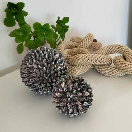 Deniz Kabukları Dekoratif Obje - Tinpazar