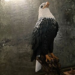 Eagle Soul | El Yapımı Sanatsal Dekoratif Heykel – Güç & Özgürlük Temalı Modern Ev Dekoru - 4
