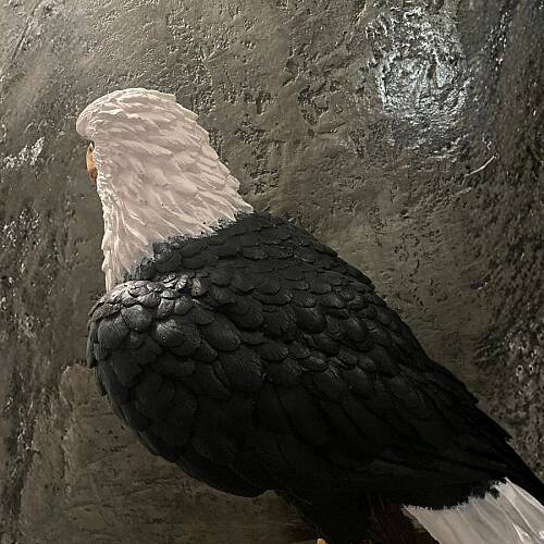 Eagle Soul | El Yapımı Sanatsal Dekoratif Heykel – Güç & Özgürlük Temalı Modern Ev Dekoru - 5
