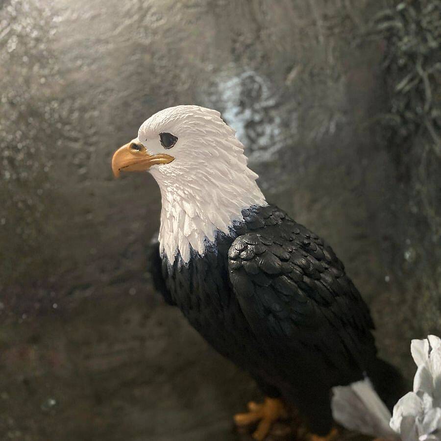 Eagle Soul | El Yapımı Sanatsal Dekoratif Heykel – Güç & Özgürlük Temalı Modern Ev Dekoru - 6