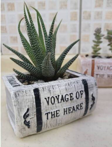 El Yapımı Dekoratif Kitap Saksı - 6