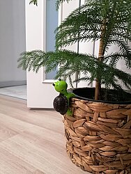 Sevimli Kaplumbağa Saksı Süsü - 1