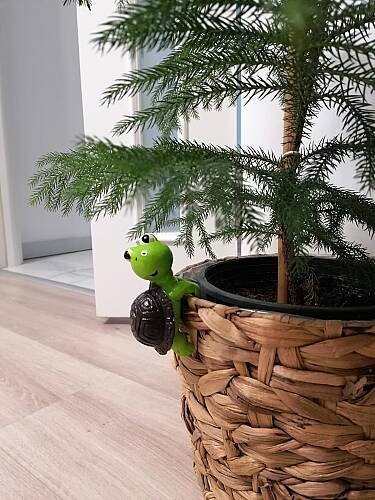 Sevimli Kaplumbağa Saksı Süsü - 2