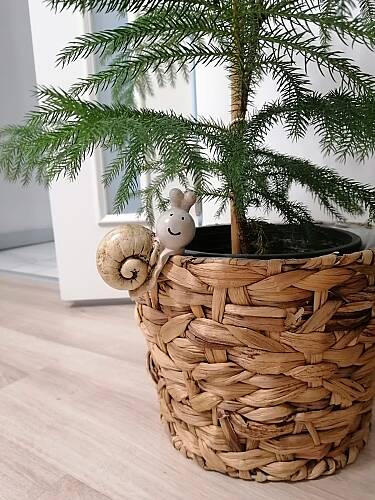 Sevimli Salyangoz Saksı Süsü - 2